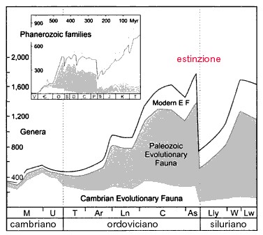 Grafico Sepkoski